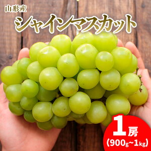 yӂ邳Ɣ[Łz[VC}XJbg CTCY 1[(900g`1kg)yߘa8NYs\zFU21-169 ʕ t[c R` R` R`s  s\ 2026NY