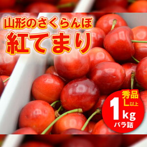 yӂ邳Ɣ[ŁzR`̂ gĂ܂ 1kg LTCYȏ ol yߘa8NYs\zFS25-526  ʕ t[c R` R` R`s  2026NY