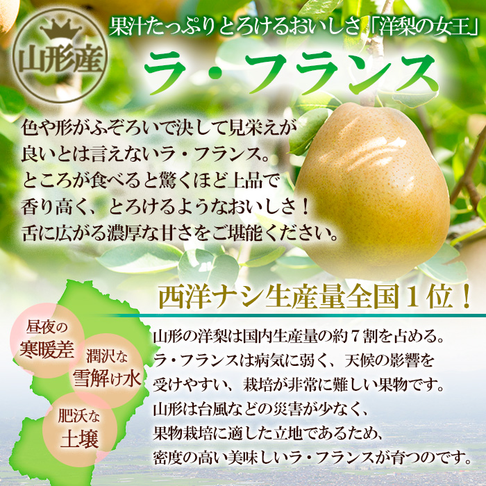 青森県産 洋梨 マリケットマリーラ 10kg