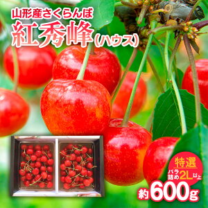 yӂ邳Ɣ[Łz gG(nEX)I ol 2Lȏ 600g yߘa8NYs\zFS25-706  ʕ t[c R` R` R`s  2026NY