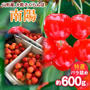 yӂ邳Ɣ[ŁzR`Y 嗱 z I ol 600g yߘa8NYs\zFS25-712  ʕ t[c R` R` R`s  2026NY