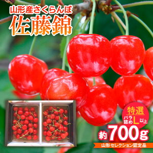 yӂ邳Ɣ[Łz  Iol Lȏ 700gR`ZNVFi yߘa8NYs\zFS25-717  ʕ t[c R` R` R`s  2026NY