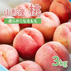 yӂ邳Ɣ[ŁzR`Y  3kg(_炩Ȃ)yߘa8NYs\zFU22-004 ʕ t[c R` R` R`s  s\ 2026NY