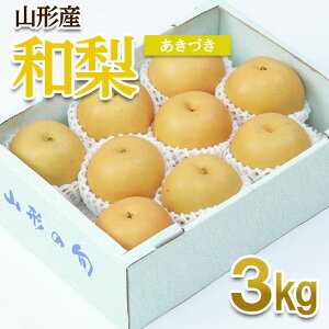 yӂ邳Ɣ[ŁzR`Y a(Â) G 3kg(6`12) yߘa7NYs\zFU22-010 ʕ t[c R` R` R`s  2025NY
