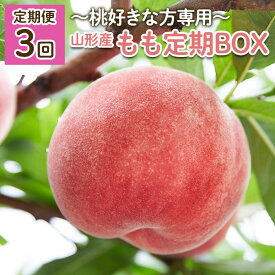 【ふるさと納税】【定期便3回】～桃好きな方専用～もも定期BOX～ 【令和6年産先行予約】FU22-019 フルーツ くだもの 果物 お取り寄せ 先行予約