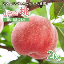 楽天市場】硬い桃（桃｜フルーツ・果物）：食品の通販
