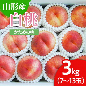 yӂ邳Ɣ[ŁzR`sY  3kg(߂̓) yߘa7NYs\zFU22-025  ʕ t[c R` R` R`s 2025NY
