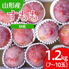 【ふるさと納税】山形市産 すもも(秋姫) 1.2kg(7～10玉） 【令和6年産先行予約】FU22-026 フルーツ くだもの 果物 お取り寄せ 先行予約