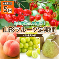 令和6年産 先行予約 フルーツ 定期便 さくらんぼ 桃 シャインマスカット...