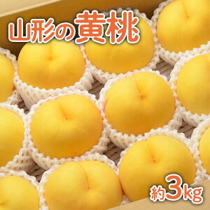 yӂ邳Ɣ[ŁzR`̉ 3kg(6`13)[_炩ȂiEʓd] yߘa7NYs\zFU22-055  ʕ t[c R` R` R`s 2025NY