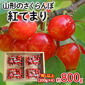 【ふるさと納税】山形のさくらんぼ 紅てまり 約800g Lサイズ以上(200g×4) 【令和6年産先行予約】FU22-058 フルーツ くだもの 果物 お取り寄せ 先行予約