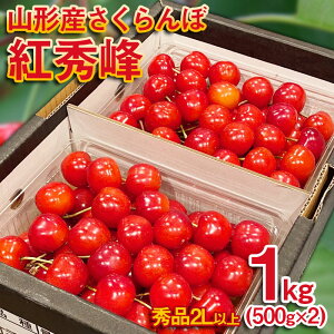 yӂ邳Ɣ[Łz gG h󏭂ȑ嗱h@I 2LTCY 1kg(500g×2pbNjyߘa8NYs\zFS25-570  ʕ t[c R` R` R`s  2026NY
