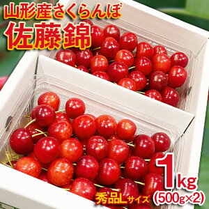 yӂ邳Ɣ[Łz  LTCY 1kg(500g×2pbNj yߘa8NYs\zFS25-571  ʕ t[c R` R` R`s  2026NY
