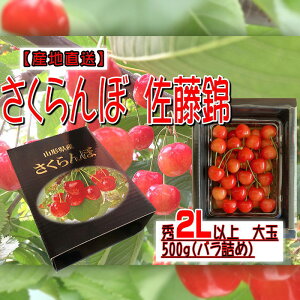 �y�ӂ邳�Ɣ[�Łz[�Y�n����] ��ʂ������� ������ 2L�ȏ� ��� 500g(�o���l��)�y�ߘa8�N�Y��s�\��zFU22-122�������� �ʕ� �t���[�c �R�` �R�`�� �R�`�s ������ ��s�\�� 2026�N�Y