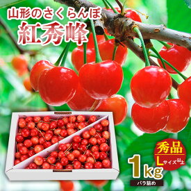【ふるさと納税】山形のさくらんぼ 紅秀峰 1kg Lサイズ以上 バラ詰め 【令和8年産先行予約】FS25-519 くだもの 果物 フルーツ 山形 山形県 山形市 お取り寄せ 2026年産