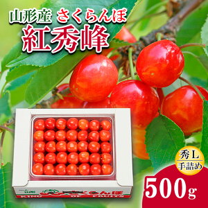 yӂ邳Ɣ[Łz(gG)L500gl yߘa8NYs\zFS24-583  ʕ t[c R` R` R`s  2026NY
