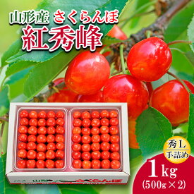 【ふるさと納税】さくらんぼ(紅秀峰)L1kg手詰(500g×2) 【令和6年産先行予約】FS19-701 フルーツ くだもの 果物 お取り寄せ 先行予約