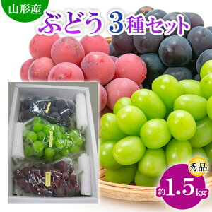 �y�ӂ邳�Ɣ[�Łz�R�`�s�Y�Ԃǂ� 3��Z�b�g �G ��1.5kg (9������) �y�ߘa8�N�Y��s�\��zFS24-663 �������� �ʕ� �t���[�c �R�` �R�`�� �R�`�s ������ 2026�N�Y