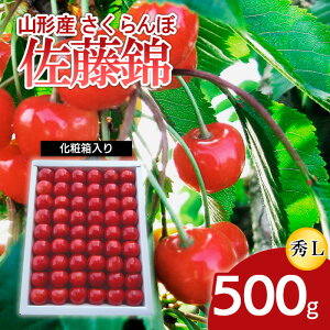 yӂ邳Ɣ[ŁzR`Y   L 500gϔ yߘa8NYs\zFS25-500  ʕ t[c R` R` R`s  2026NY