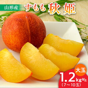 yӂ邳Ɣ[ŁzR`̂[HP] 1.2kgȏ(7`10) yߘa7NYs\zFU22-800 ʕ t[c R` R` R`s  2025NY