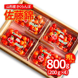 【ふるさと納税】山形のさくらんぼ 佐藤錦 800g Lサイズ以上(200g×4パック) 【令和6年産先行予約】FU22-157 フルーツ くだもの 果物 お取り寄せ 先行予約