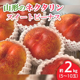 【ふるさと納税】山形のネクタリン(スイートビーナス)約2kg(5～10玉) 【令和6年産先行予約】FU22-799 フルーツ くだもの 果物 お取り寄せ 先行予約