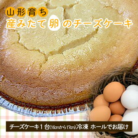 【ふるさと納税】FY22-124 山形育ち 産みたて卵のチーズケーキ