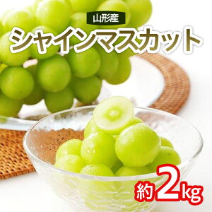 yӂ邳Ɣ[ŁzVC}XJbg G 2kg(3`4[) yߘa8NYs\zFS25-641  ʕ t[c R` R` R`s  2026NY