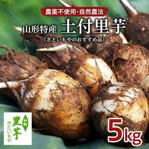 yӂ邳Ɣ[Łz_sgp R_@ R`Y yt 5kg!(Ƃ̂ߕi) fz23-135