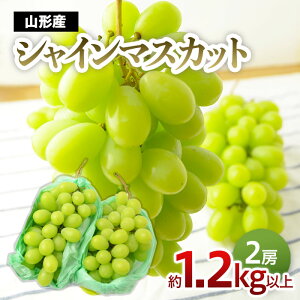 yӂ邳Ɣ[ŁzR`̂Ԃǂ VC}XJbg 1.2kgȏ(2[) yߘa7NYs\zFU22-225 ʕ t[c R` R` R`s  2025NY