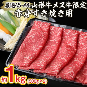 yӂ邳Ɣ[ŁzI A5-A4 R` X  ԐgĂp@1kg FY22-253 R`   uh