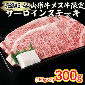 yӂ邳Ɣ[ŁzI A5-A4 R` X T[CXe[L 300g(150g×2) FY22-257 R`   uh