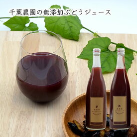 【ふるさと納税】山形の無添加ぶどうジュース 600ml×2本セット(デラウェア) fz23-147