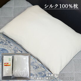 【ふるさと納税】FY22-304 シルク100％枕(ピロケース付)