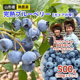 【ふるさと納税】山形産 無農薬 完熟ブルーベリー【ガイアの雫】500g(100g×5パック)【令和8年産先行予約】FS24-500くだもの 果物 フルーツ 山形 山形県 山形市 お取り寄せ 先行予約 2026年産