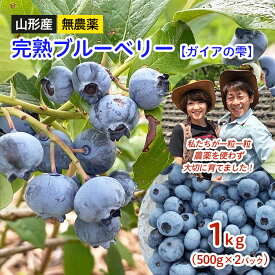 【ふるさと納税】山形産 無農薬 完熟ブルーベリー【ガイアの雫】1kg(500g×2パック)【令和8年産先行予約】FU22-309くだもの 果物 フルーツ 山形 山形県 山形市 お取り寄せ 先行予約 2026年産