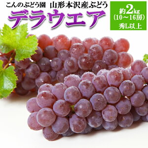 yӂ邳Ɣ[ŁzŷԂǂzR`{Y Ԃǂ fEFA GLȏ 2kg(10`16[) yߘa8NYs\zFS25-719 ʕ t[c R` R` R`s  2025NY