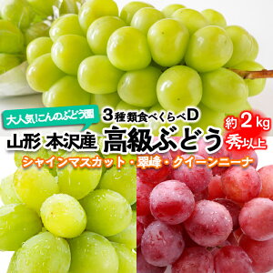 yӂ邳Ɣ[ŁzlCIŷԂǂzR`{Y Ԃǂ 3HׂD Gȏ 2kg yߘa8NYs\zFU22-336 ʕ t[c R` R` R`s  s