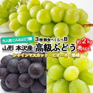 yӂ邳Ɣ[ŁzlCIŷԂǂzR`{Y Ԃǂ 3HׂB Gȏ 2kg yߘa8NYs\zFU22-338 ʕ t[c R` R` R`s  s