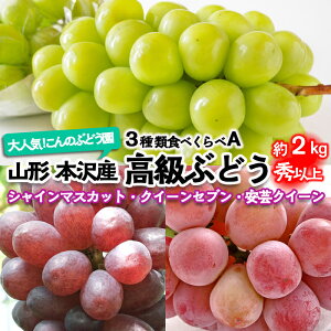 yӂ邳Ɣ[ŁzlCIŷԂǂzR`{Y Ԃǂ 3HׂA Gȏ 2kg yߘa8NYs\zFU22-339 ʕ t[c R` R` R`s  s