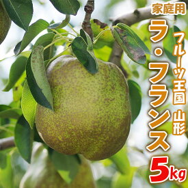 【ふるさと納税】☆フルーツ王国山形☆【家庭用】ラ・フランス 5kg FZ26-805