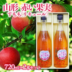 yӂ邳Ɣ[ŁzR` Ԃʎ (L[) 720ml×2{ZbgyGP𑢏z fz22-504    