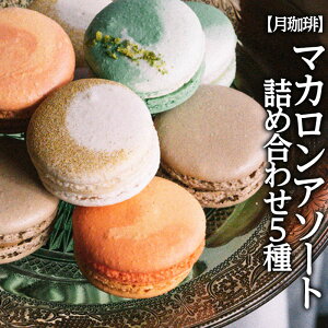 yӂ邳Ɣ[Łzyz}JA\[g lߍ킹 5 FZ22-595 َq mَq XC[c 