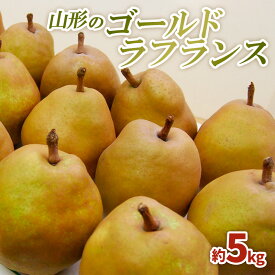 【ふるさと納税】山形のゴールドラフランス 5kg(3L〜6L)10〜16玉【令和8年産先行予約】FS25-741