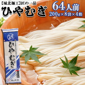 【ふるさと納税】【城北麺工】匠の一品 ひやむぎ 32袋(64人前) FZ22-730