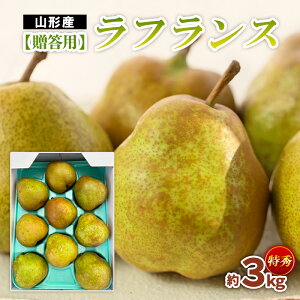 yӂ邳Ɣ[ŁzypztX Gi 3kg fz22-934 EtX m t[c ʕ   mȂ