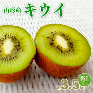 yӂ邳Ɣ[ŁzR`Y LEC Gi Lȏ 3.5kg(20`30) fz20-067