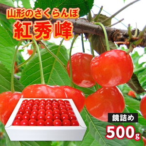 yӂ邳Ɣ[ŁzR`̂ gG l 500g LTCYȏ yߘa8NYs\zFS25-518  ʕ t[c R` R` R`s  2026NY