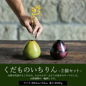 yӂ邳Ɣ[ŁzyRẑ 2Zbg FY21-484