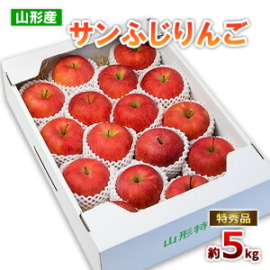 yӂ邳Ɣ[ŁzR`̃Tӂ Gi 5kg(10`25) fz19-137 S ь t[c ʕ  